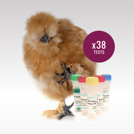 ZeeWee I Bird DNA Sex Test MiniPCR Dx