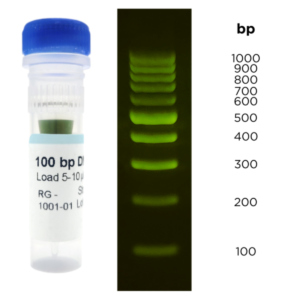 100 bp DNA Ladder, Load Ready™