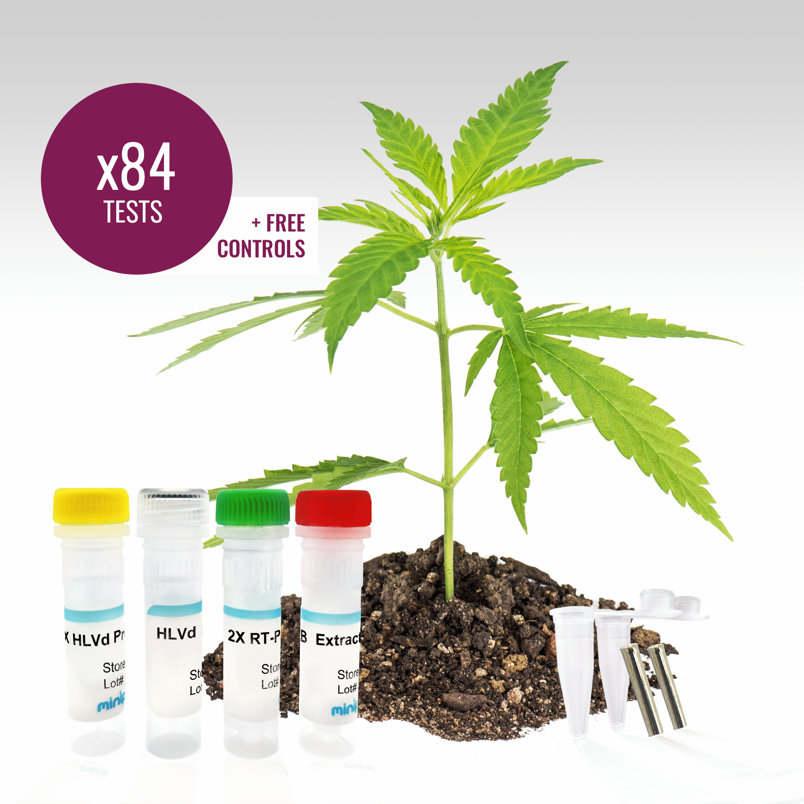 HLVd RT-qPCR Detection Test - 84 tests