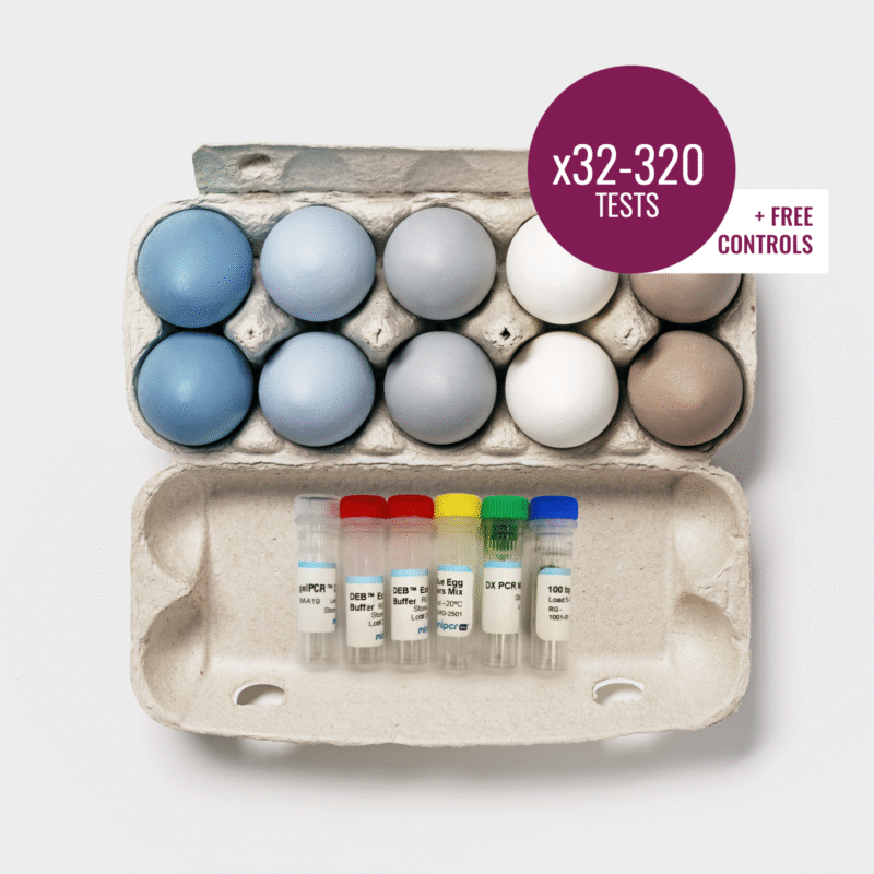 blueegg_product_image_1200x1200