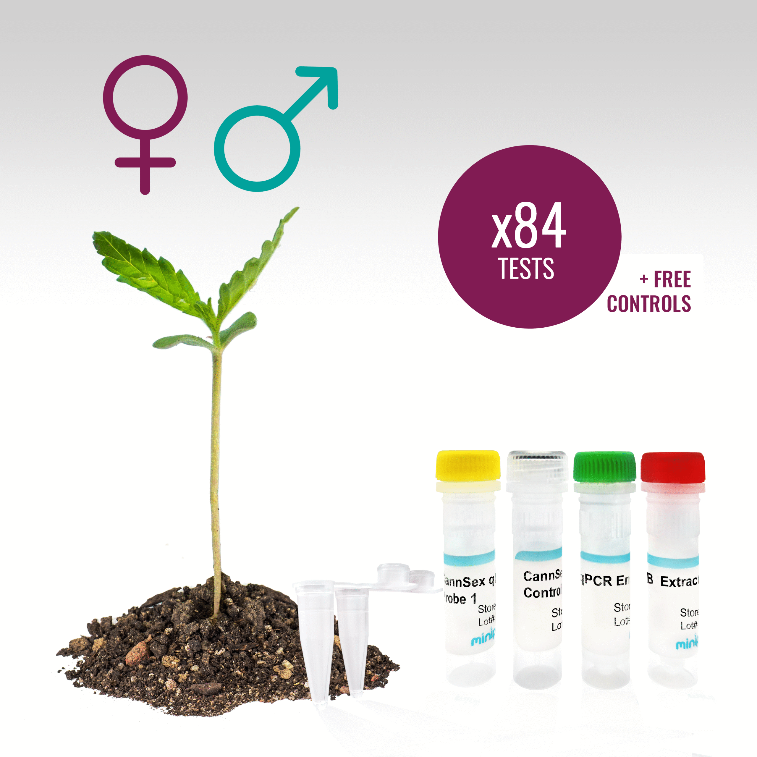 Cannabis Sex qPCR Detection Test