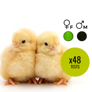 chickView™ DNA Sex Test
