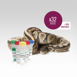 Ball Python Ghost/Hypo DNA Test
