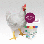 recessivewhite_product_image_1200x1200