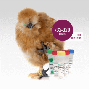 ZeeWee I Bird DNA Sex Test