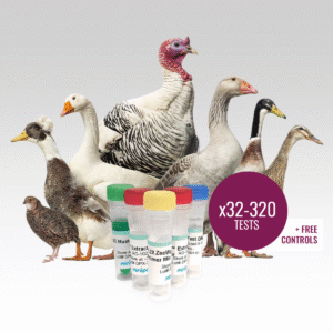 ZeeWee III Bird DNA Sex Test