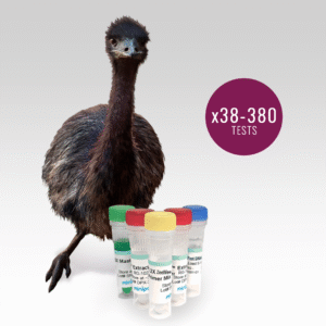 ZeeWee IV Bird DNA Sex Test