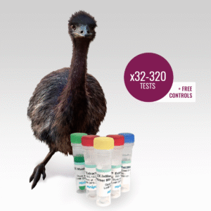 ZeeWee IV Bird DNA Sex Test