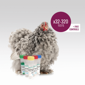 Frizzle Chicken DNA Test